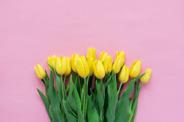 Yellow tulips on pink background with copy space. Holiday concept. Flowers on colored background. - Photo, Image