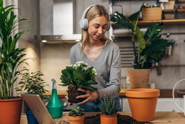 Florist is replanting a plant into a bigger pot at work - Valokuva, kuva