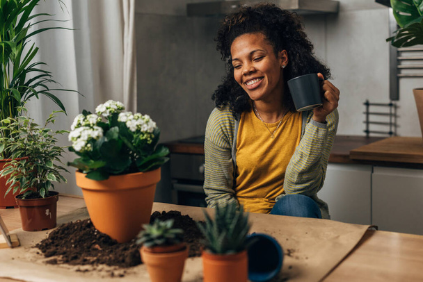 A woman looks at her houseplant with joy - Foto, immagini