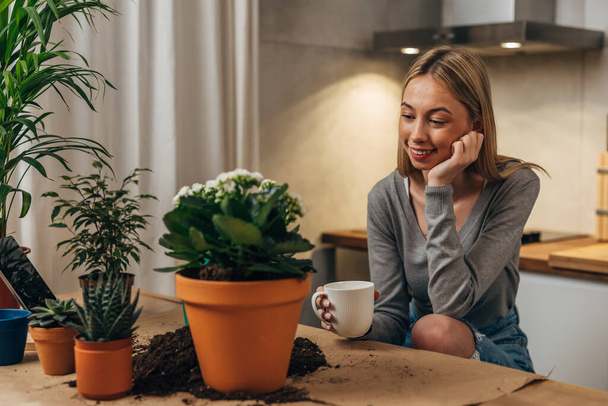 A young woman is looking at her houseplants with smile - Foto, afbeelding
