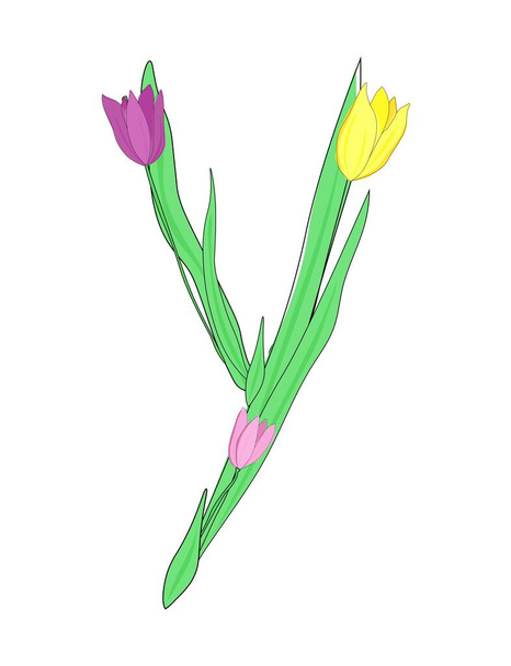 Carta Y do alfabeto inglês das flores da tulipa, fonte floral para o projeto do Dia das Mães da mola - Vetor, Imagem