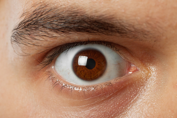 Close-up shot van jonge man bruin oog - Foto, afbeelding