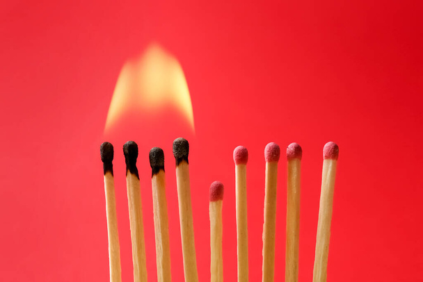 Burning and whole matches on red background, closeup. Stop destruction concept - Photo, image