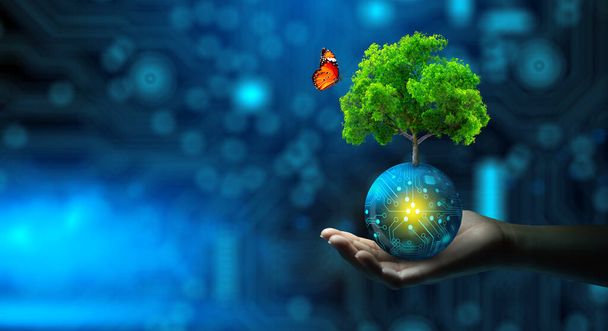 Man hand holding Tree on digital ball with technological convergence blue background. Green computing, csr, IT ethics, Nature technology interaction, and Environmental friendly. - Foto, immagini