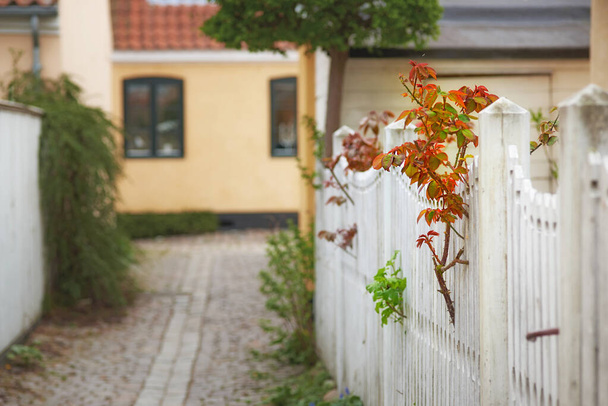 Woningbouw in Dragoer. Oude huizen gelegen in Dragor, Denemarken - Foto, afbeelding