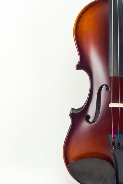 Violin on white background - Foto, Imagen