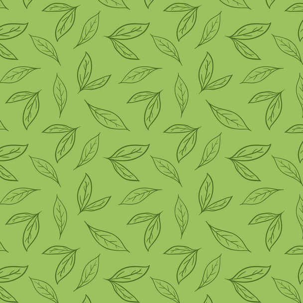 Green tea pattern wallpaper. Green tea doodle vector. Matcha pattern. - Διάνυσμα, εικόνα