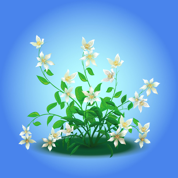 Bush with blossoming flowers - Vector, Image