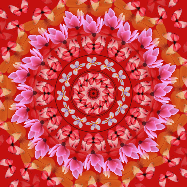Mandala rosso
 - Foto, immagini