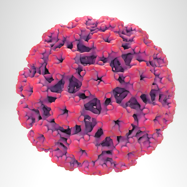 Humane papillomavirus op lightl achtergrond, een virus dat wratten voornamelijk op handen en voeten veroorzaakt. Sommige stammen infecteren genitaliën en kunnen baarmoederhalskanker veroorzaken. 3D illustratie - Foto, afbeelding