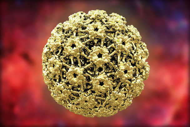Renkli arka planda insan papillomavirüsleri, daha çok el ve ayaklarda siğillere neden olan bir virüs. Bazı türler üreme organlarını enfekte eder ve rahim ağzı kanserine neden olabilir. 3B illüstrasyon - Fotoğraf, Görsel