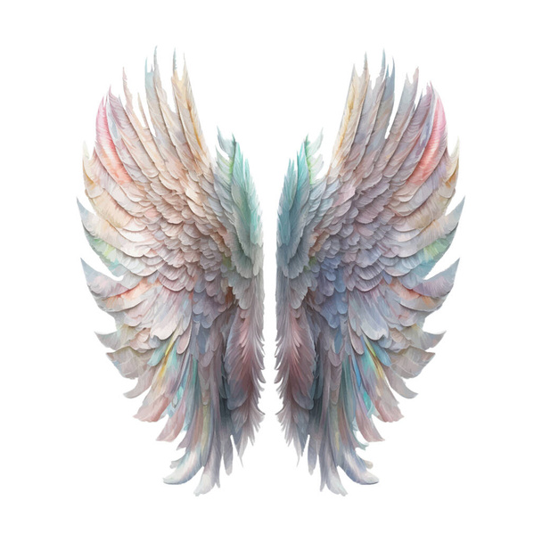 Angel 's Wings Pastel Gökkuşağı İllüstrasyon Clipart. Tüy tasarım ögesi beyaz arkaplanda izole edildi. Tişört tasarımları, süblimleşme, simge vs. için. - Fotoğraf, Görsel