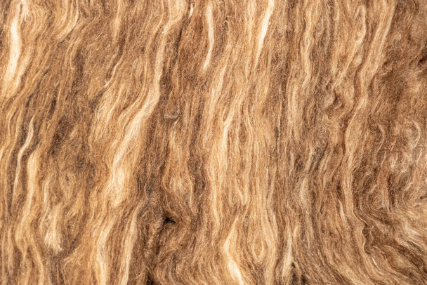 Θερμομονωτικές πλάκες από ορυκτό μαλλί. για μόνωση της πρόσοψης του κτιρίου, κοντινό πλάνο - Φωτογραφία, εικόνα
