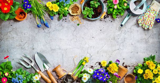 Gardening tools and spring flowers on the terrace in the garden - Fotoğraf, Görsel