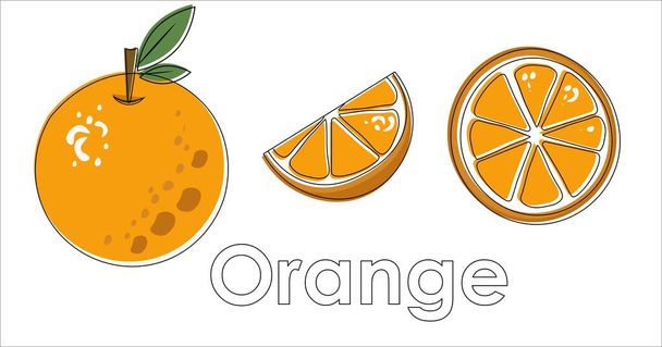 Flat  vector orange with line. Orange slices. - Vector, Imagen