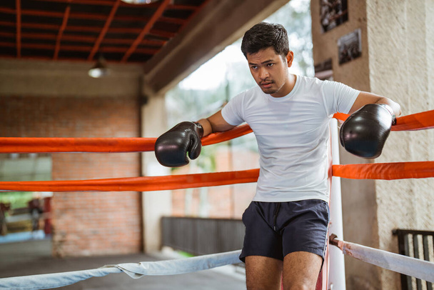 a male boxer standing leaning on the ropes inside the box ring at the boxing studio - 写真・画像