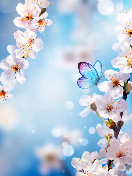 Albero di fiori su sfondo naturale con farfalla. Fiori primaverili. Sfondo primavera. Concetto confuso - Foto, immagini