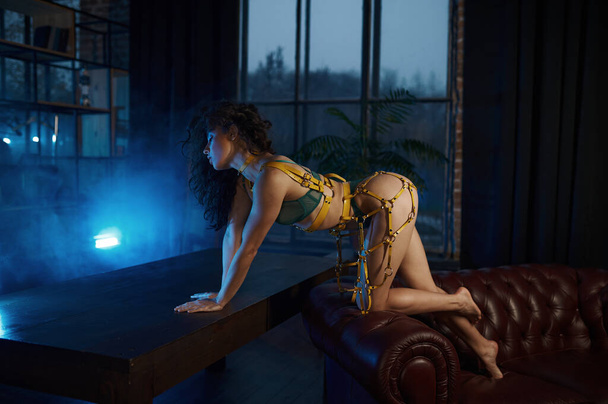 Superbe femme brune posant pour caméra en sous-vêtements érotiques avec ceinture d'épée, intérieur de maison de luxe la nuit - Photo, image