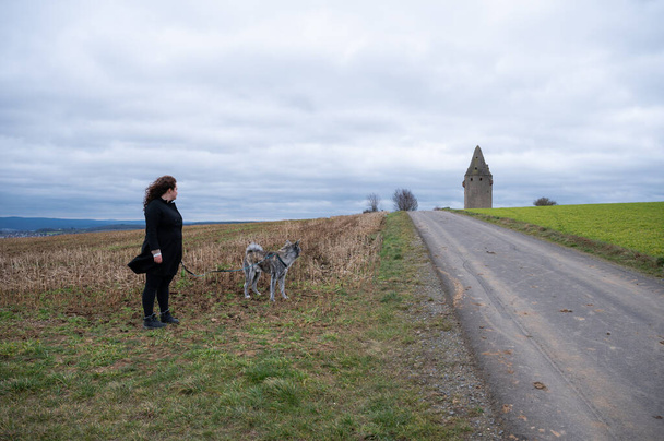 Kahverengi kıvırcık saçlı ve siyah paltolu bir kadın ve gri kürklü bir köpek tarımsal bir yolun yanında duruyor. İkisi de uzaktaki Wartturm kulesine bakıyor. Bulutlu bir gün. - Fotoğraf, Görsel