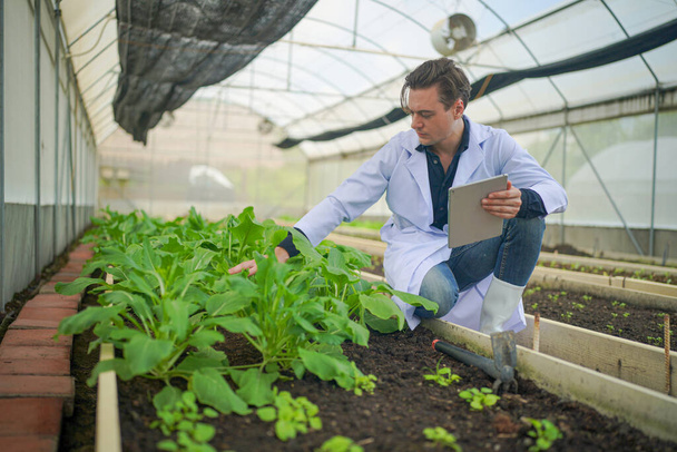 Biólogo, Propietario hidropónica granja de verduras en el invernadero comprobar la calidad de las verduras orgánicas. - Foto, Imagen