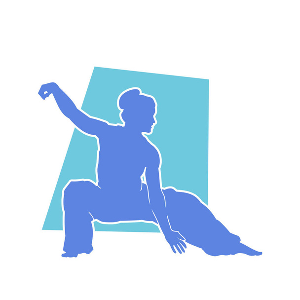 Silhouette of a martial art woman in action pose. Silhouette of a barehand movement martial art practitioner. - Vector, Image