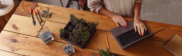 Florist woman works in her small floral business surf for information about plants using laptop - Foto, Imagen