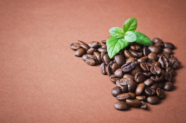 Kávébab - Fotó, kép