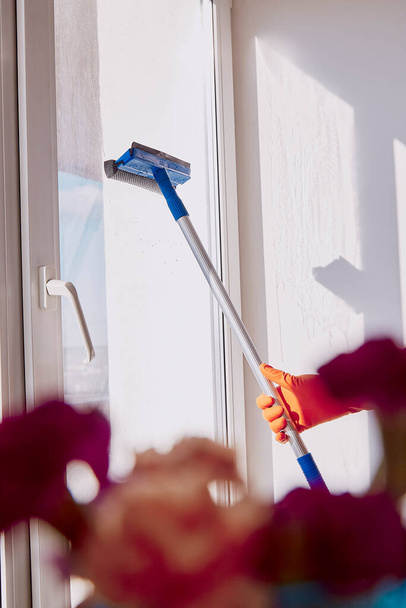 春の掃除、家事の概念。ゴム手袋の男は晴れた日に窓を洗っている。寸法植物、ぼやけた前景 . - 写真・画像