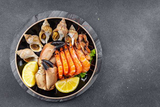 seafood plate shrimp, crab claw, clam, rapan, trumpeter mollusk  meal food snack on the table copy space food background rustic top view - Fotoğraf, Görsel