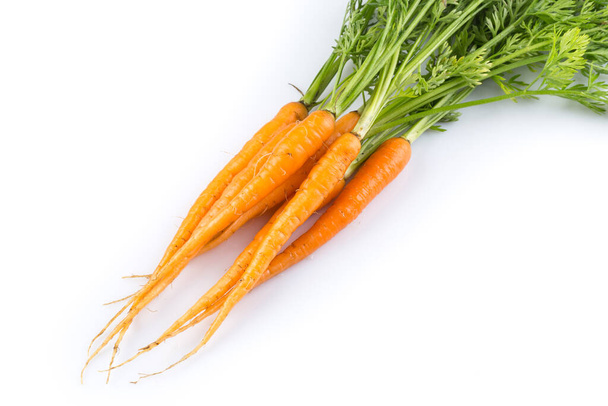 fresh carrots with green leaves isolated on white background. vegetable. food - 写真・画像