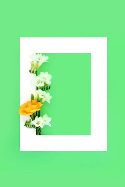 Memorial RIP background border. Rose freesia flower on white frame on green. Funeral invitation or order of service minimal composition. Condolence, mourning sorrow concept. - 写真・画像