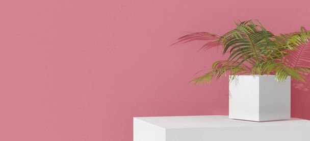 3d ilustración de una palmera verde en una olla, estante vacío blanco. Fondo de pared rosa. Expositor de productos stand mock-up. - Foto, imagen