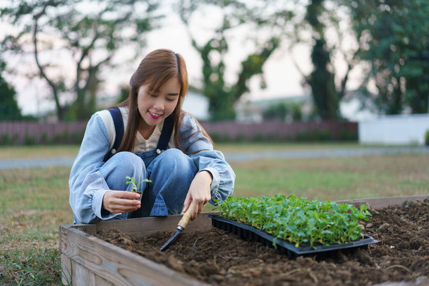 若い女性は家の前で野菜のプロット上の有機野菜の苗を育てるためにトロールを使用します. - 写真・画像