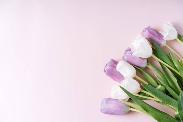 Kytice z bílých a fialových tulipánů na růžovém pozadí. - Fotografie, Obrázek