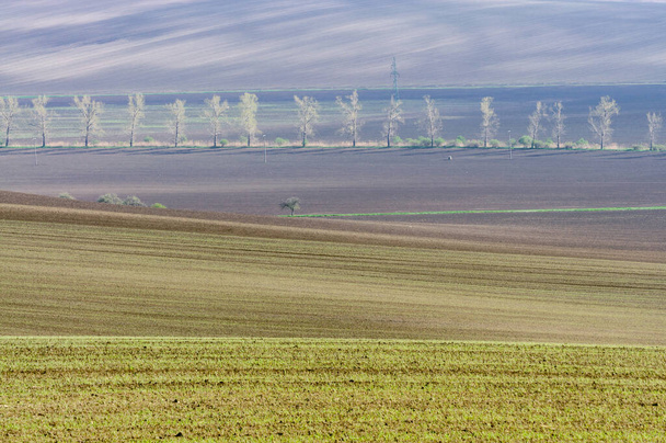 verdes colinas en Moravia - Foto, Imagen