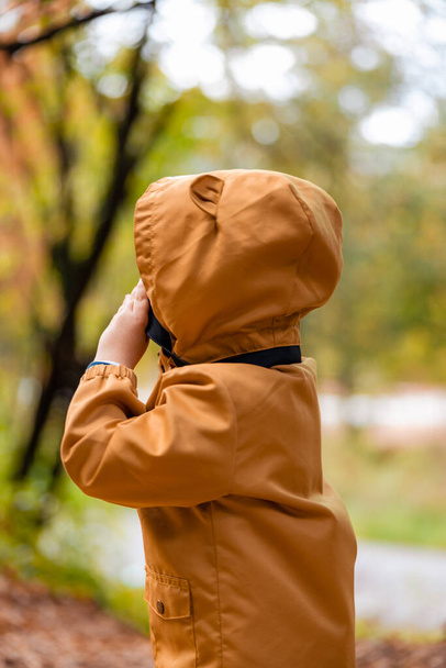Дитячий хлопчик у жовтій куртці з плюшевими ведмежими вухами дивиться від камери. Кольори осінньої погоди. Високоякісна фотографія
 - Фото, зображення