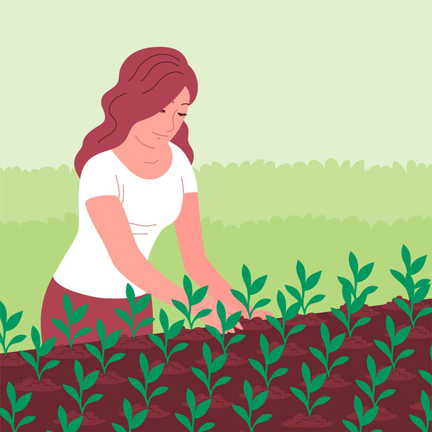 The young woman planted a young seedling in the ground. Gardening outdoors. Growing and caring for plants in a greenhouse. Vector cartoon illustration - Vector, Image