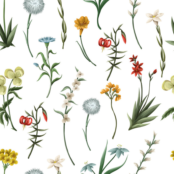Seamless pattern with thin meadow flowers. Vector - Vektori, kuva