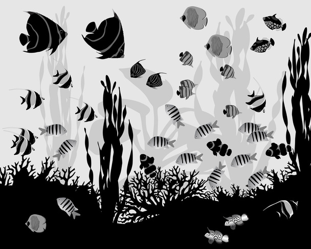 Рибки коралові
 - Вектор, зображення