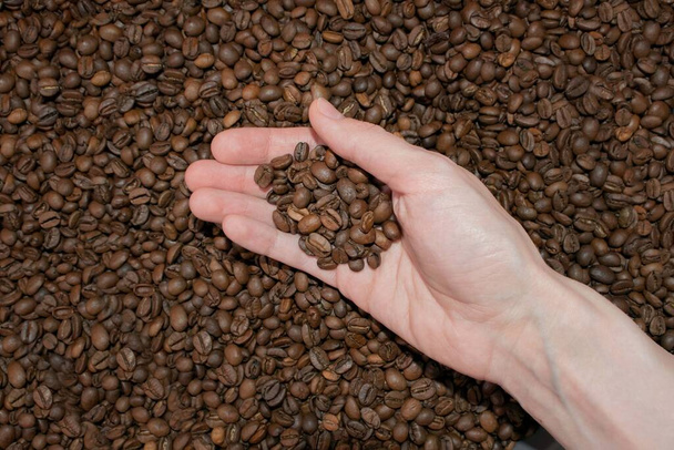 maatalouden käsite. kahvipapuja nainen hand.Coffee produce.A henkilö tilalla kourallinen paahdettuja aromaattisia ja terveellisiä kahvipapuja ylhäältä näkymä. Laadukas kuva - Valokuva, kuva