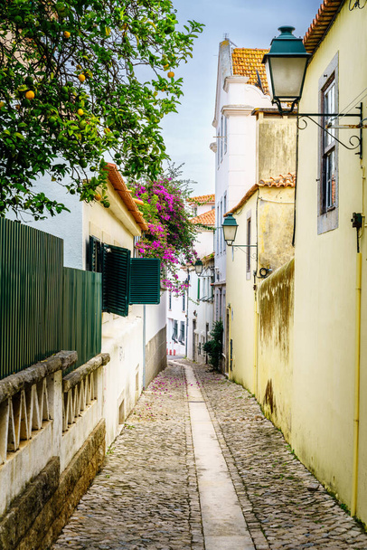 Pedestrian cobblestone street in Cascais, Portugal - 写真・画像