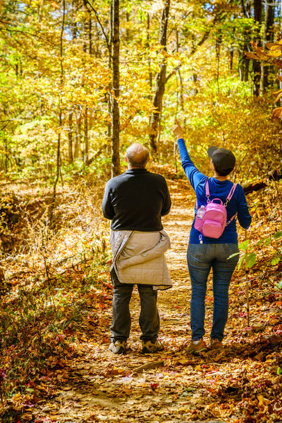 Senior couple is hiking in the woods in North Carolina in fall - Foto, immagini