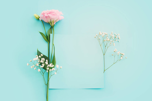 Top view image of delicate lisianthus flower over pastel blue background - 写真・画像