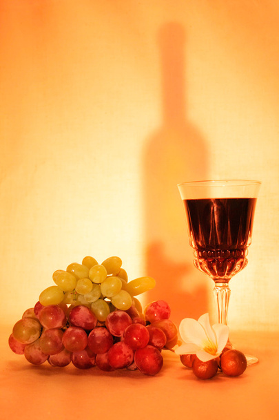 Fruits du vin macadamia
 - Photo, image