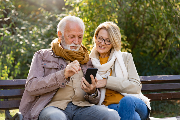 senior couple using phone in park  - Фото, зображення