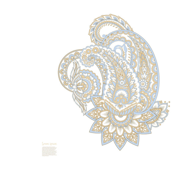 Paisley isolated. Card with paisley isolated for design. Paisley vector pattern. Embroidery floral vector pattern. - Vektör, Görsel