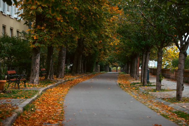 Autumn scene on the streets of Budapest. - Foto, Imagem