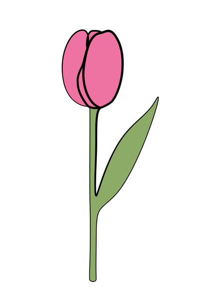 Continuous one line drawing of a tulip. vector illustration minimalistic design - Вектор,изображение