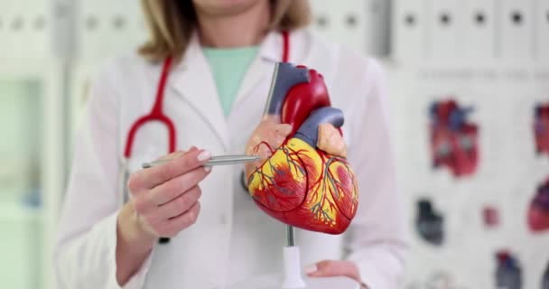 Profesor medicínských věd zobrazující s perem strukturu anatomického plastového modelu srdce detailní 4k film zpomalení. Diagnóza a léčba onemocnění kardiovaskulárního systému koncepce - Záběry, video