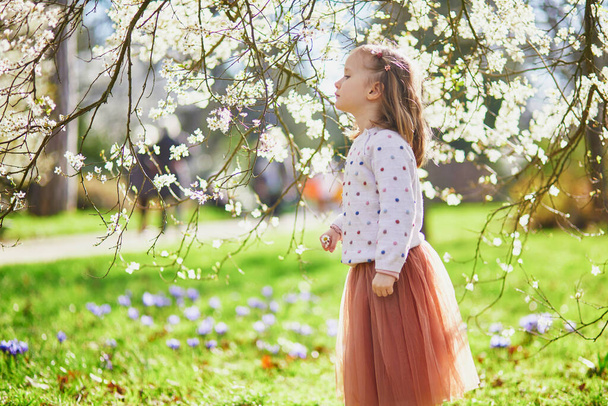 Adorable little girl enjoying nice and sunny spring day near apple tree in full bloom. Outdoor spring actvities for children - Фото, зображення